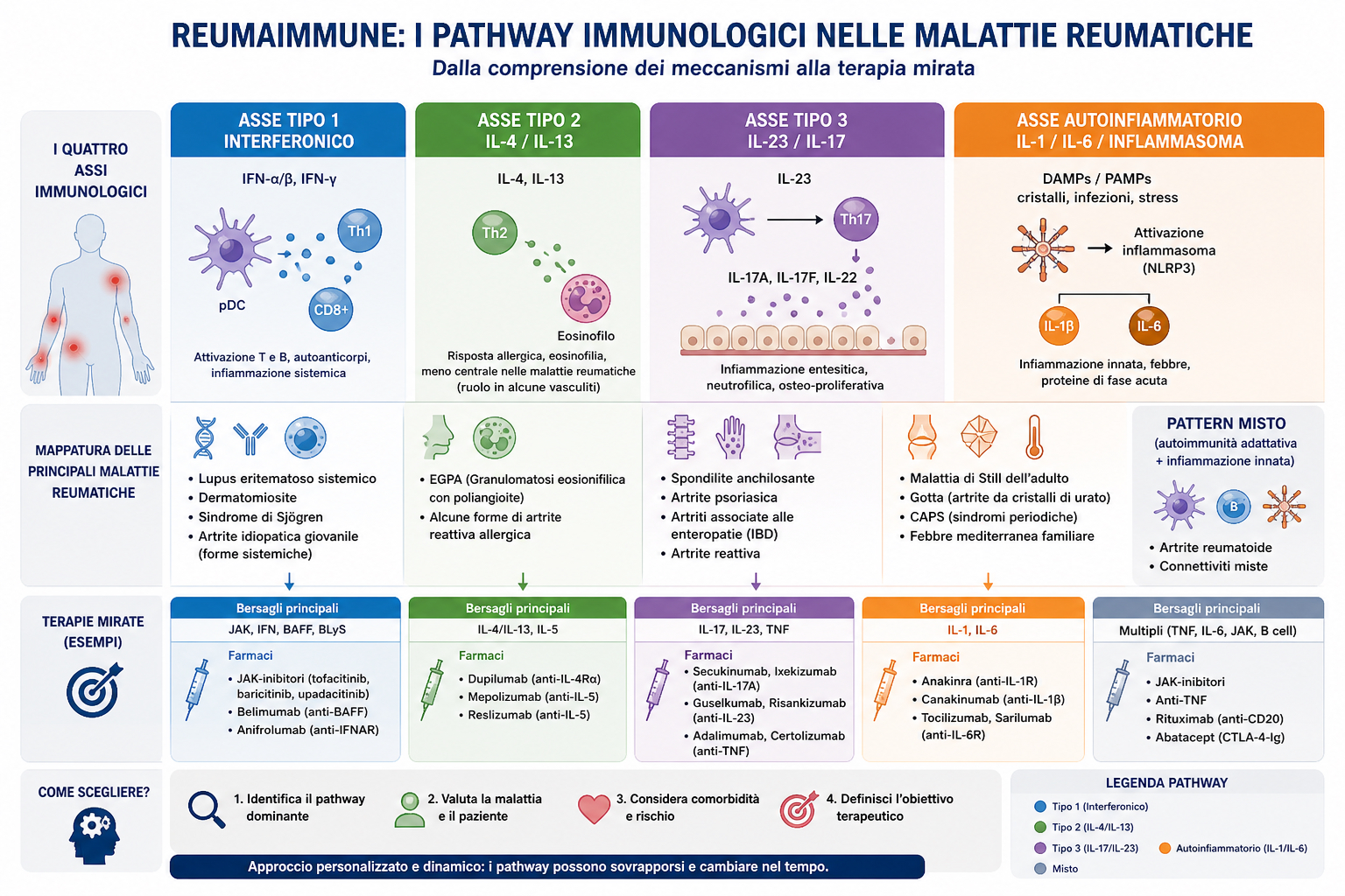 Assi immuno-infiammatori in reumatologia: tipo 1, tipo 2, tipo 3 e asse autoinfiammatorio