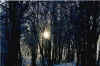 Schia_Inverno.jpg (127990 byte)