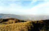 Smog.jpg (80605 byte)