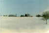 Tizzano_PieveS.Pietro.jpg (55660 byte)
