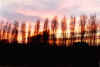Tramonto2.jpg (75458 byte)